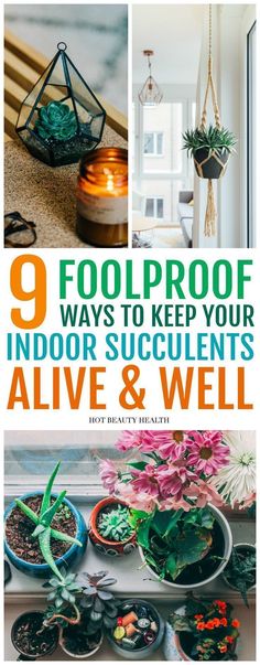 indoor succulents and plants with text overlay that reads 9 foolproof ways to keep your indoor succulents alive & well