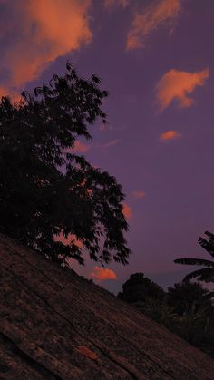 the sun is setting behind some trees on top of a hill with purple clouds in the sky