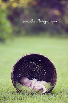 a baby sleeping in a basket on the grass