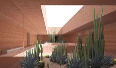 an indoor courtyard with cacti and succulents in the foreground