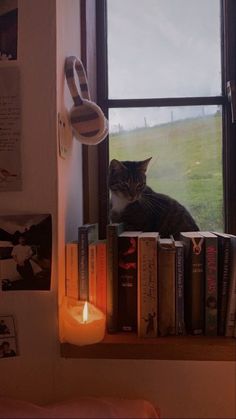 a cat sitting on top of a window sill next to books