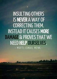 a quote from mufti ismali menk about insulting others