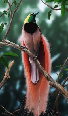 a colorful bird sitting on top of a tree branch next to green and pink leaves