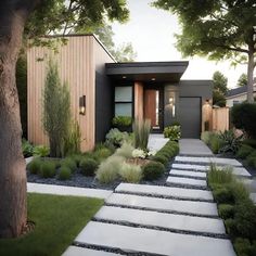 a modern house with landscaping and trees in the front yard