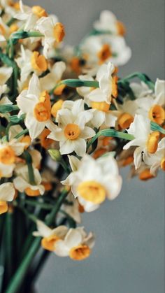 a bunch of white and yellow flowers in a vase