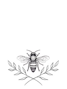 a black and white drawing of a bee sitting on top of a leafy branch