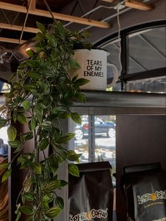 a coffee cup hanging from the side of a wall next to a potted plant