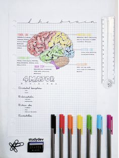 a white board with markers and pens on it next to a drawing book that has a diagram of the human brain