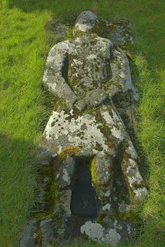 a stone bench with moss growing on it in the middle of a grassy area next to trees