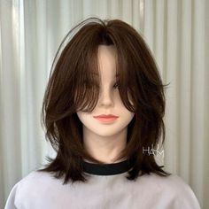 Wolf Haircut On Short Hair, Asian Wolfcut Woman Medium, Cute Haircuts Short Hair, Wolf Cut Front View, Wolfcut For Short Hair, New Hair Trends 2024, Wof Cut Hair, Cute Haircuts For Round Faces, C Cut Hairstyle