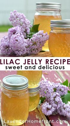 lilac jelly recipe in mason jars with flowers on the side and text overlay that reads lilac jelly recipe sweet and delicious