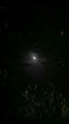 the full moon shines brightly in the dark night sky over some trees and bushes