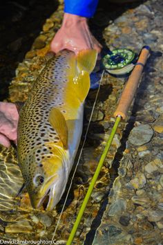 a man holding a fish on top of a body of water next to a fishing pole