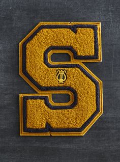 the letter s is made out of yellow and black felt with an animal on it