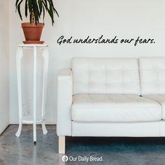 a white couch sitting next to a potted plant