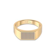 This ring boasts a fully paved surface of lab-grown diamonds, set within a classic rectangular Signet ring design¡ªa timeless fashion statement, perfect for any occasion. ?| Metal: Silver Color: Sterling Silver (925 Sterling Silver is a lightweight metal made of 92.5% pure silver. It¡¯s highly durable and designed for everyday wear) Gold Color: 18K Gold Vermeil (Not to be confused with regular gold plating, our vermeil is a thick layer of 18k solid gold on sterling silver meaning it will last lo Luxury Rings With Diamond Accents And Rectangular Stone, Luxury Rings With Rectangular Diamond Accents, Luxury Yellow Gold Square Cut Diamond Ring, Luxury Square Cut Diamond Ring In Yellow Gold, Luxury Diamond Ring With Rectangular Stone, Luxury Diamond Ring With Rectangular Stone For Anniversary, Luxury Rectangular Diamond Anniversary Ring, Luxury Square Cut Ring With Diamond Accents, Luxury Square-cut Ring With Diamond Accents