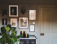 a living room with pictures on the wall and a potted plant next to it