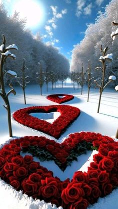 a heart made out of red roses in the middle of a snow covered field with trees