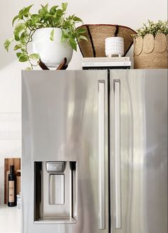 a silver refrigerator freezer sitting next to a potted plant