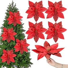 red poinsettia flowers are placed next to a christmas tree and handmade decorations