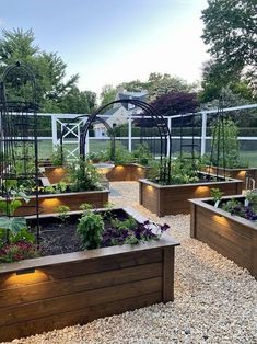 a garden with lots of different types of plants and flowers in it's raised beds