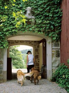 an instagram page with a woman and two dogs walking in front of the house