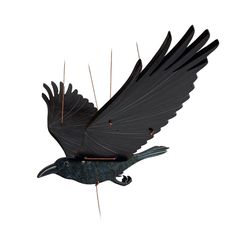 a black bird with its wings spread out and it's head hanging from the side