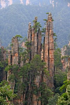 some very tall rock formations in the middle of a forest filled with lots of trees