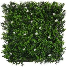 a green boxwood hedge with white flowers on it's top and bottom corner