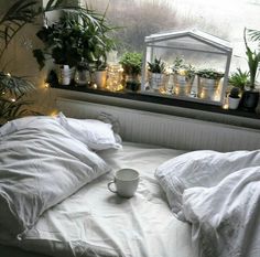 a bed that has some plants on it and a cup in front of the window