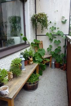 a wooden bench sitting in front of a window filled with potted plants