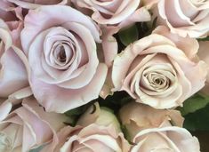 a bouquet of pink roses with green leaves on it's stems, close up