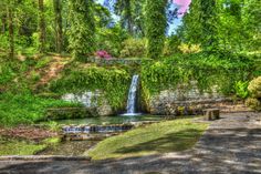 a small waterfall in the middle of a lush green forest