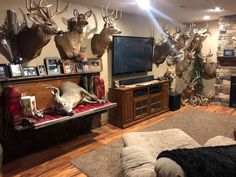 a living room with deer heads mounted on the wall