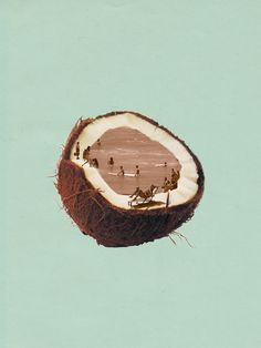 a cut in half coconut sitting on top of a blue surface with people inside it