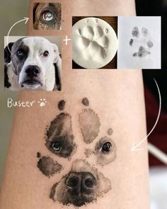 a dog's paw prints are shown on the arm