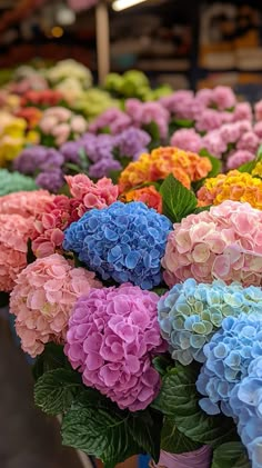 many different colored flowers are on display for sale