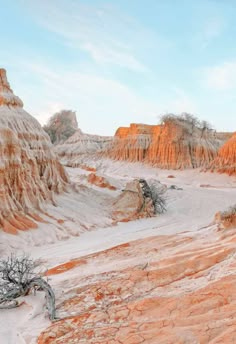 the desert is covered in snow and brown rock formations with trees growing out of them