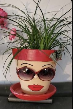 a potted plant with sunglasses and a butterfly sitting on top of it's head