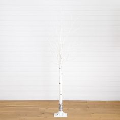 a small white tree with no leaves in a vase on a wooden floor next to a wall