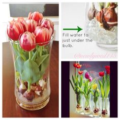 there are many different pictures of flowers in the vase