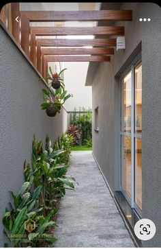 the walkway is lined with plants and potted plants on either side of the house