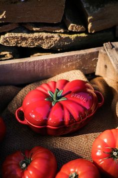 red tomatoes sitting on top of burl cloth