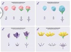 four different types of flowers are shown in the same image, each with their own letter