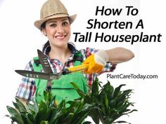 a woman holding a pair of gardening shears in front of a potted plant