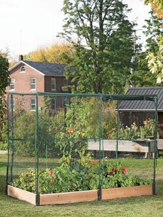 a garden in the middle of a yard with lots of green plants growing inside it