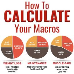 Macro Calculator, Carb Cycling, Maintain Weight, High Protein Low Carb