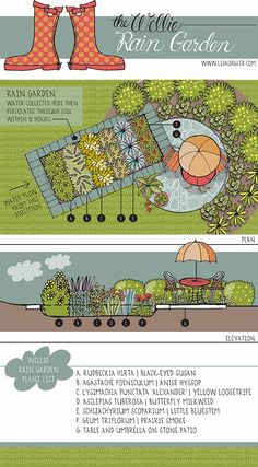 an info sheet showing the different types of plants