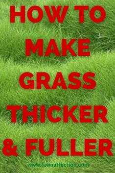 how to make grass thicker and filler