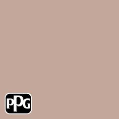 the logo for ppg is shown in black and white on a beige background with an orange border